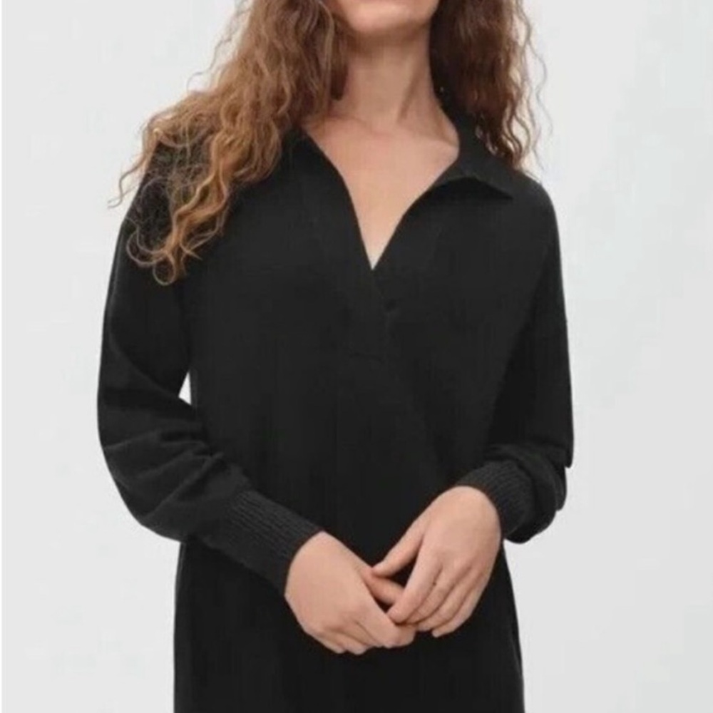 Everlane Black Cashmere Sweater Dress